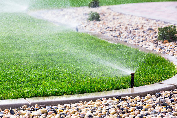 The Essential Watering Guide: How Often to Water Your Lawn in Utah County